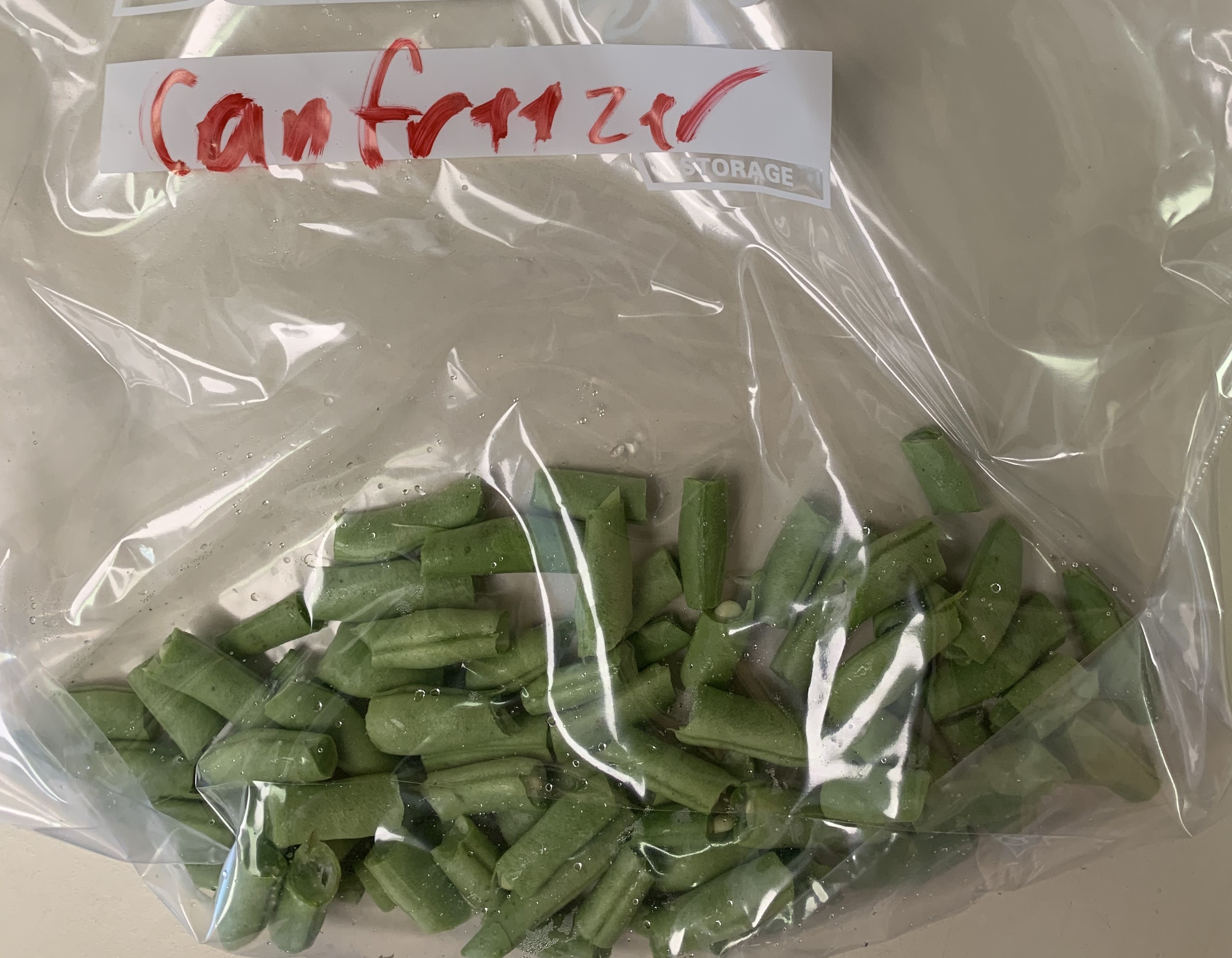 Snap bean canfreezer.